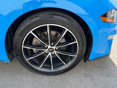 2022 Ford Mustang EcoBoost