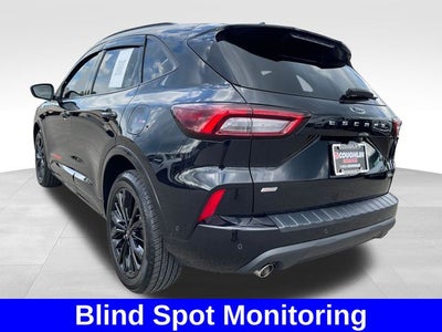 2024 Ford Escape Hybrid ST-Line Elite